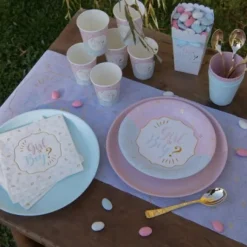 10 Assiettes En Carton Girl Or Boy