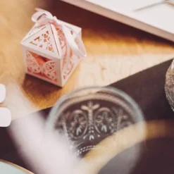 20 Contenants Dragees Cage A Papillon Rose