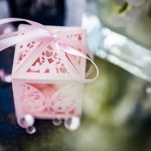 20 Contenants Dragees Cage A Papillon Rose