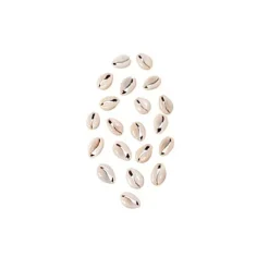 20 Coquillages Naturels Pas Cher