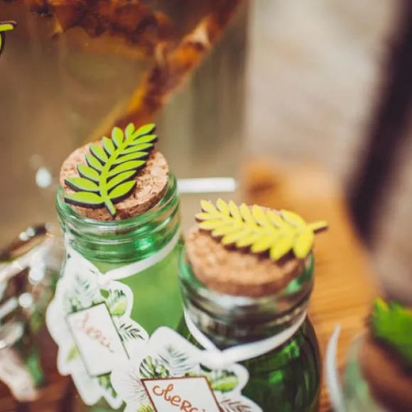 6 Feuilles De Laurier Bois Degrad