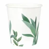 8 Gobelets En Carton Eucalyptus 200Ml