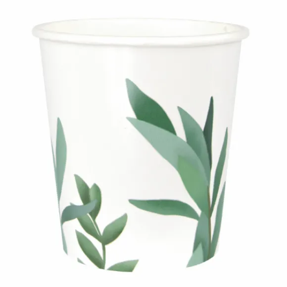 8 Gobelets En Carton Eucalyptus 200Ml