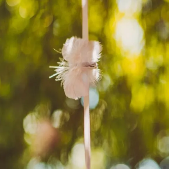 6 Pinces Papillons Plumettes Rose