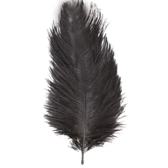 1 Plumes Autruche Noir 55-60 Cm
