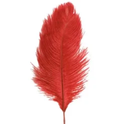 1 Plumes Autruche Rouge 55-60 Cm