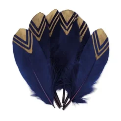6 Plumes Ethniques Marine Et Or 18-20Cm