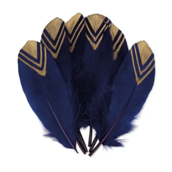 6 Plumes Ethniques Marine Et Or 18-20Cm
