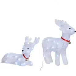 2 Rennes Lumineux Acrylique Originaux