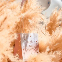 6 Sacs Cadeaux Fille Ou Gar On Gender Reveal