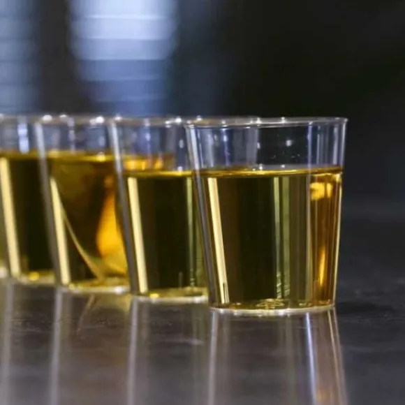 50 Verres Shooter 3Cl