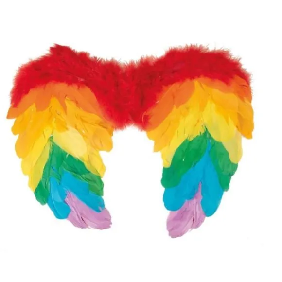 Ailes D'Anges En Plumes Arc-En-Ciel 40 X 32 Cm