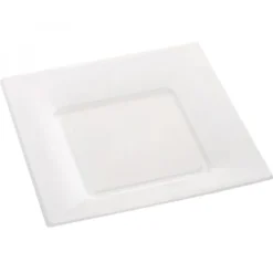 Assiette Carr E Plastique Blanche R Utilisable 23Cm X12