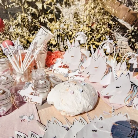 Assiette Jetable Theme Licorne X 8 Pi Ces