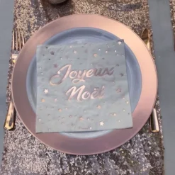 Assiette Plastique Daytona Rose Gold X 6 Pi Ces