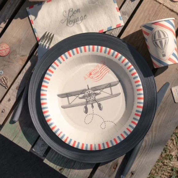 Assiettes En Carton Bon Voyage 23 Cm X10 Pi Ces