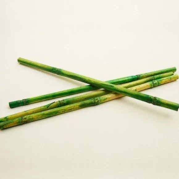 Bambou Vert Anis X 12 Pi Ces