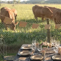 Banderole Joyeux Anniversaire M Tallis E Kraft 5 M Tres