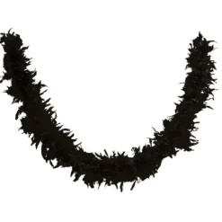 Boa Plumes Noir