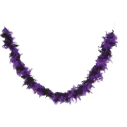 Boa Plumes Noir Et Violet