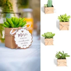 Boite A Dragees Kraft Mexique