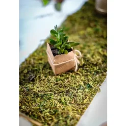 Boite A Dragees Kraft Mexique