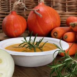 Bol Plastique Blanc En Fibre Canne A Sucre X 25 Pi Ces