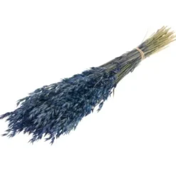Bouquet D'Avoine S Ch Bleu Marine