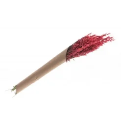 Bouquet D'Avoine S Ch Rose Corail