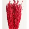 Bouquet D'Avoine S Ch Rouge