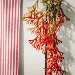 Branche D'Algues Degrade Vert Et Rouge 80Cm