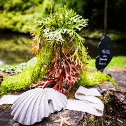 Branche D'Algues Degrade Vert Et Rouge 80Cm