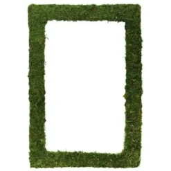 Cadre V G Tal En Mousse Verte
