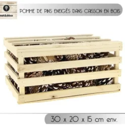 Caisse De Pommes De Pin Enneig Es X 91 Pi Ces