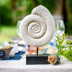 Centre De Table Coquillage Escargot Sur Socle