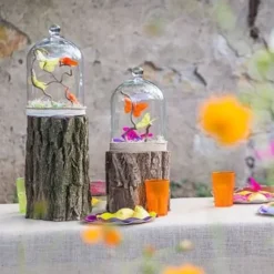 Centre De Table Tronc D'Arbre Naturel