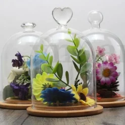 Cloche En Verre Mariage Avec Support Bois