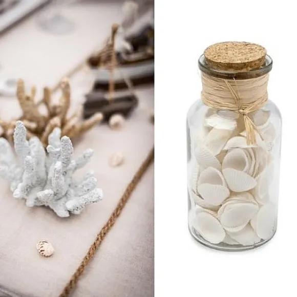 Coquillages Décoratifs En Flacon 13Cm