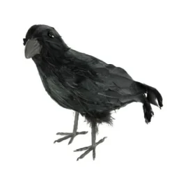 Corbeau Plumes 32 Cm