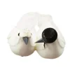 Couple De Colombe Plume Noir Et Blanc