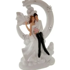 Couple De Mari S Sur La Lune