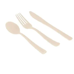 Couvert Jetable En Plastique Couleur X 30 Pi Ces