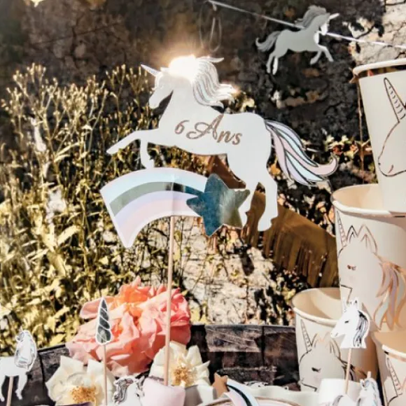 D Coration Sur Pic Licorne