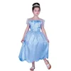 D Guisement Enfant Princesse Bleu 10/12 Ans