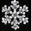 Flocon De Neige Lumineux Blanc Froid
