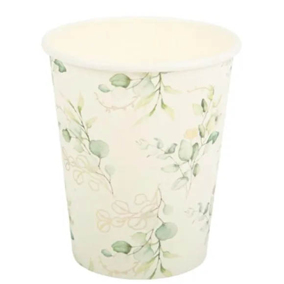 Gobelet En Carton Eucalyptus X 8 Pi Ces