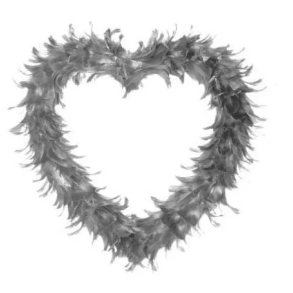 Grand Coeur En Plume Gris