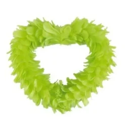 Grand Coeur En Plume Vert Anis