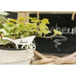 Grand Tableau Ardoise Champ Tre A Suspendre 60Cm