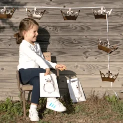 Guirlande Anniversaire Princesse Avec 15 Fanions - 6 M Tres